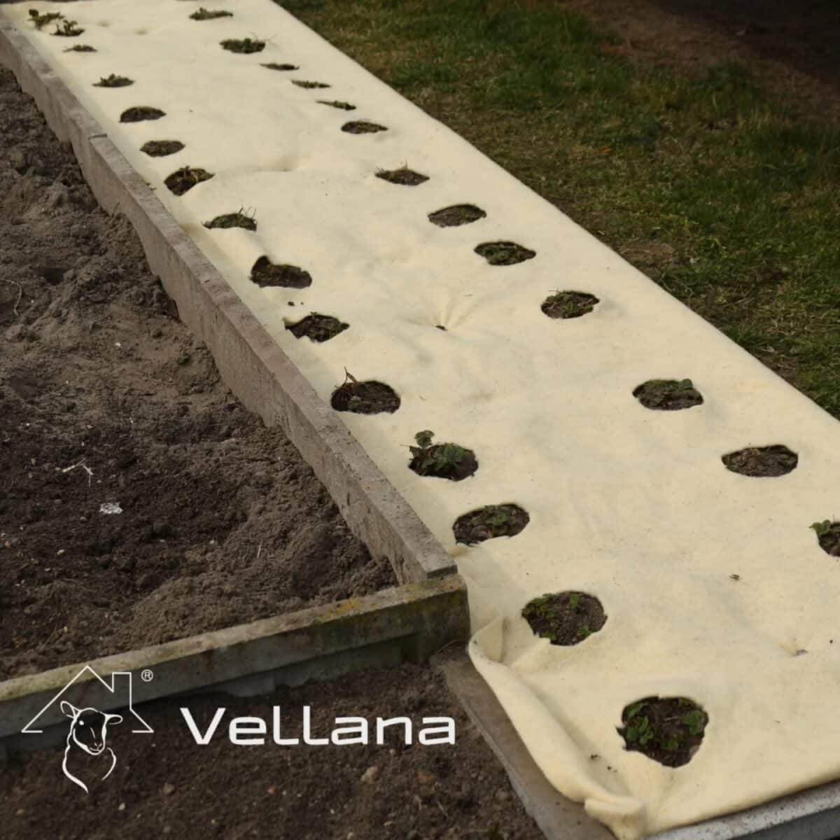 Material biotextil de mulcire / Material biotextil antiîngheț 100% lână de oaie, 255g/m2 Material biotextil de mulcire 100% lână de oaie, 255g/m2