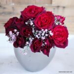 Trandafiri Gräfin Diana®