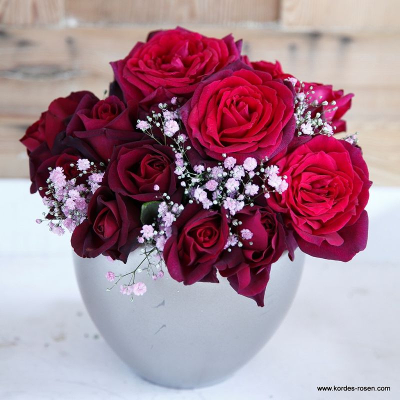 Trandafiri Gräfin Diana® Trandafiri Gräfin Diana®